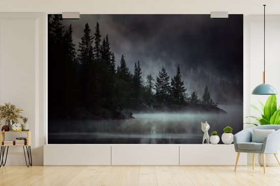 Papier fotobehang Photo Zwart et blanc d'une forêt brumeuse en Norvège