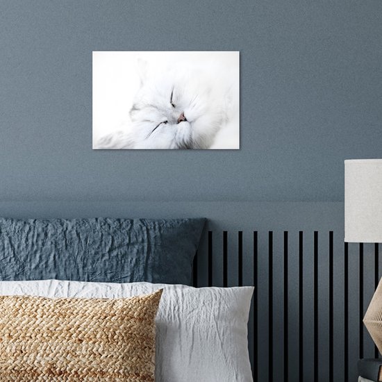 Poster 30x20 cm - Kat - Wit - Close up - Posters - Kamer decoratie - Wanddecoratie woonkamer - Muurdecoratie slaapkamer
