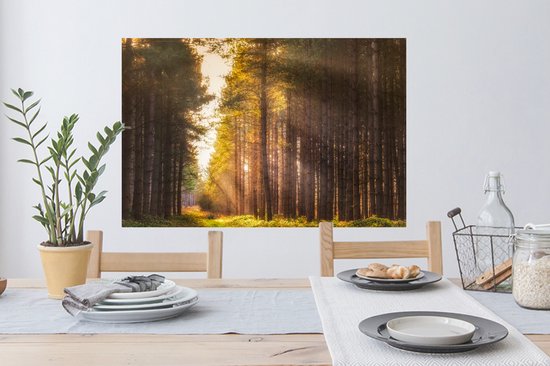 Sticker Muursticker Forêt - Rayons de soleil le long des grands arbres - 90x60 cm - film adhésif autocollant - sticker mural repositionnable