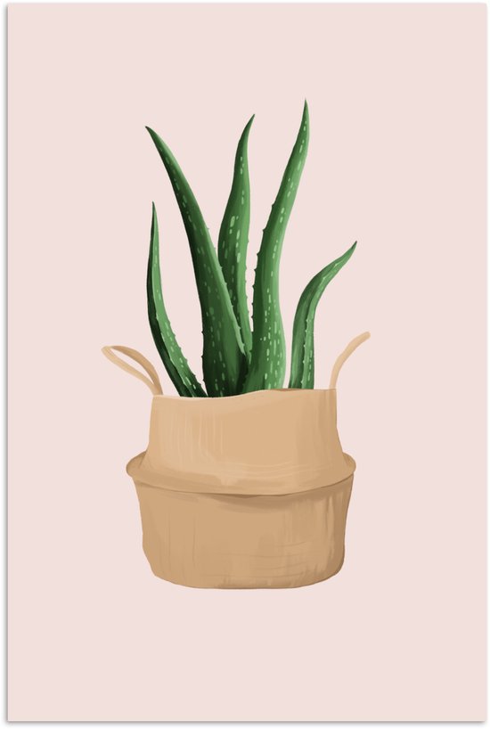Poster 20x30 cm - Planten - Aloë Vera - Pastel - Roze - Posters - Kamer decoratie - Wanddecoratie woonkamer - Muurdecoratie slaapkamer