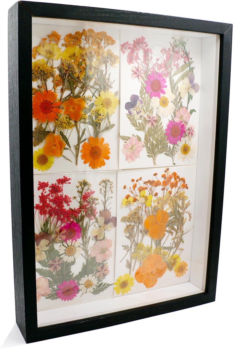 Fotolijst om te vullen, houten fotolijst met transparante acrylplaat, objectlijst dieper voor foto's, bloemen, souvenirs, doe-het-zelf kunstwerken, zwart