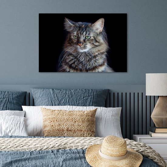Poster Chat Maine Coon fond noir 90x60 cm - Tirage photo sur Poster (décoration murale salon / chambre) / Poster Animaux domestiques