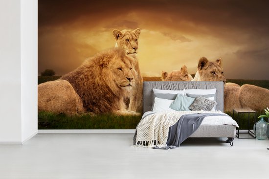 Papier peint - Papiers Papier peint photo Lions - Herbe - Ciel - Largeur 395 cm x Hauteur 220 cm