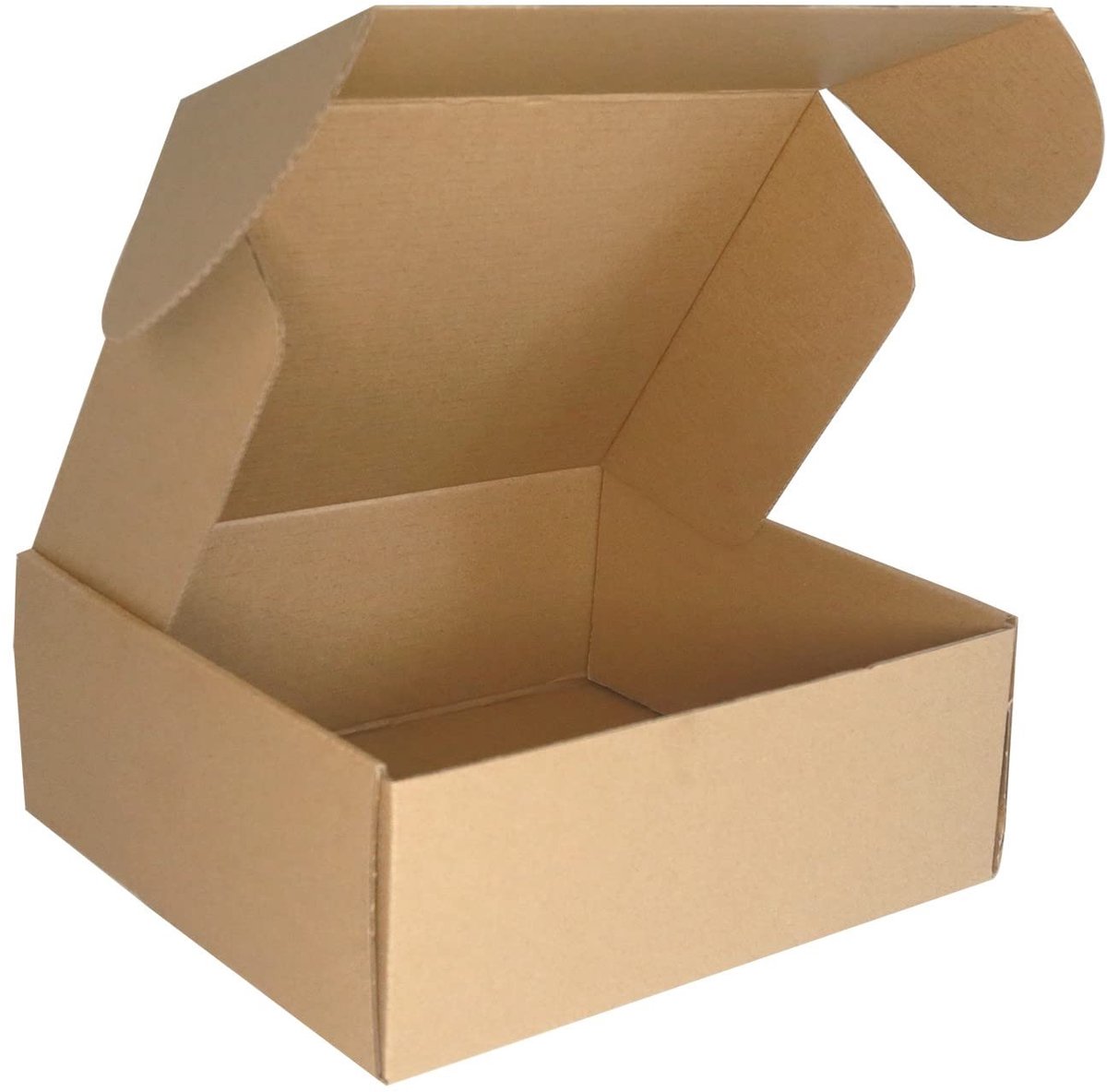 Omgoods - Verzenddozen van Karton voor Kleine Pakketten (10 Stuks)