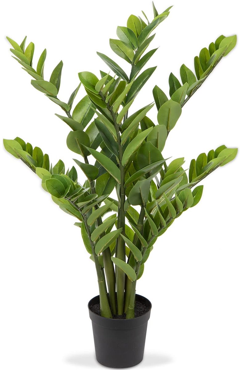 Omgoods - Kunstplant Zamioculcas, 80 cm, Decoratie voor Binnen en Buiten
