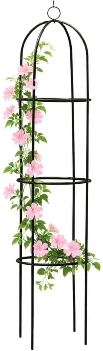 Omgoods - 2m Hoge Metalen Tuinobelisk voor Plantenondersteuning