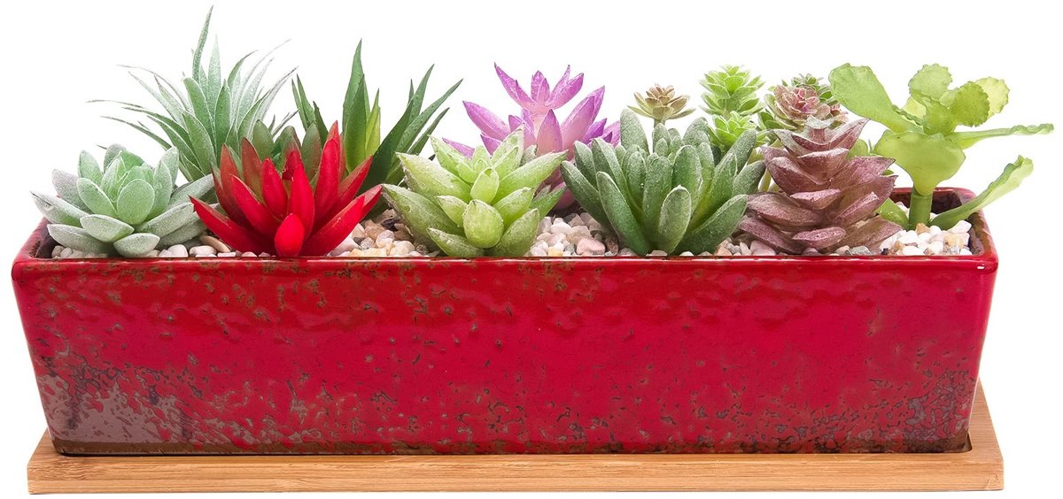 Omgoods - Grote Rectangular Succulent Pot met Drainage 30cm