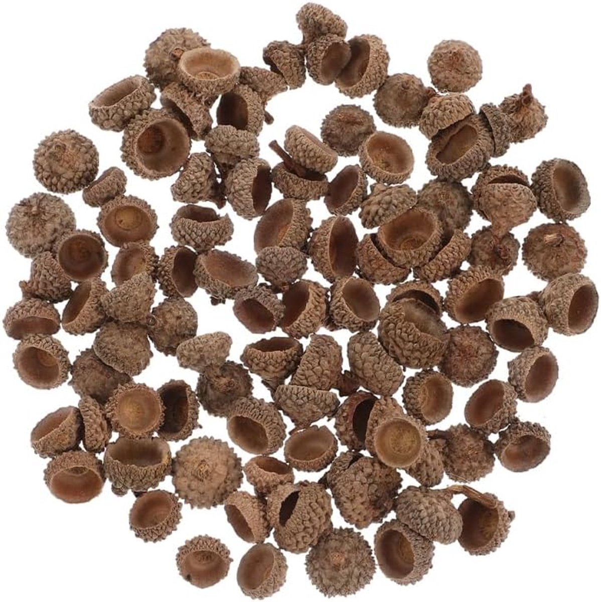 eikelhoedjes 200 stuks - natuurlijke decoratie - rustieke eikeldoppen - perfect voor herfstknutselen - ShopVlot
