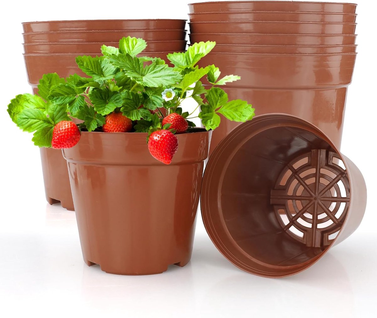 Ø 12 cm, 10 stuks premium kweekpotten - ronde plantenpotten voor planten - bloempotten voor zaailingen voor fruit, groenten, planten, vetplanten, zaailingen, stekken, verplanten