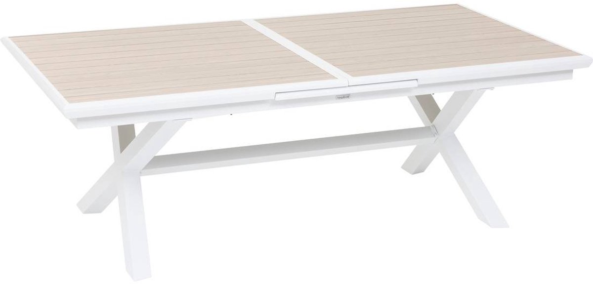 Uitschuifbare tuintafel voor 10 personen van aluminium met houtlook AXIOME
