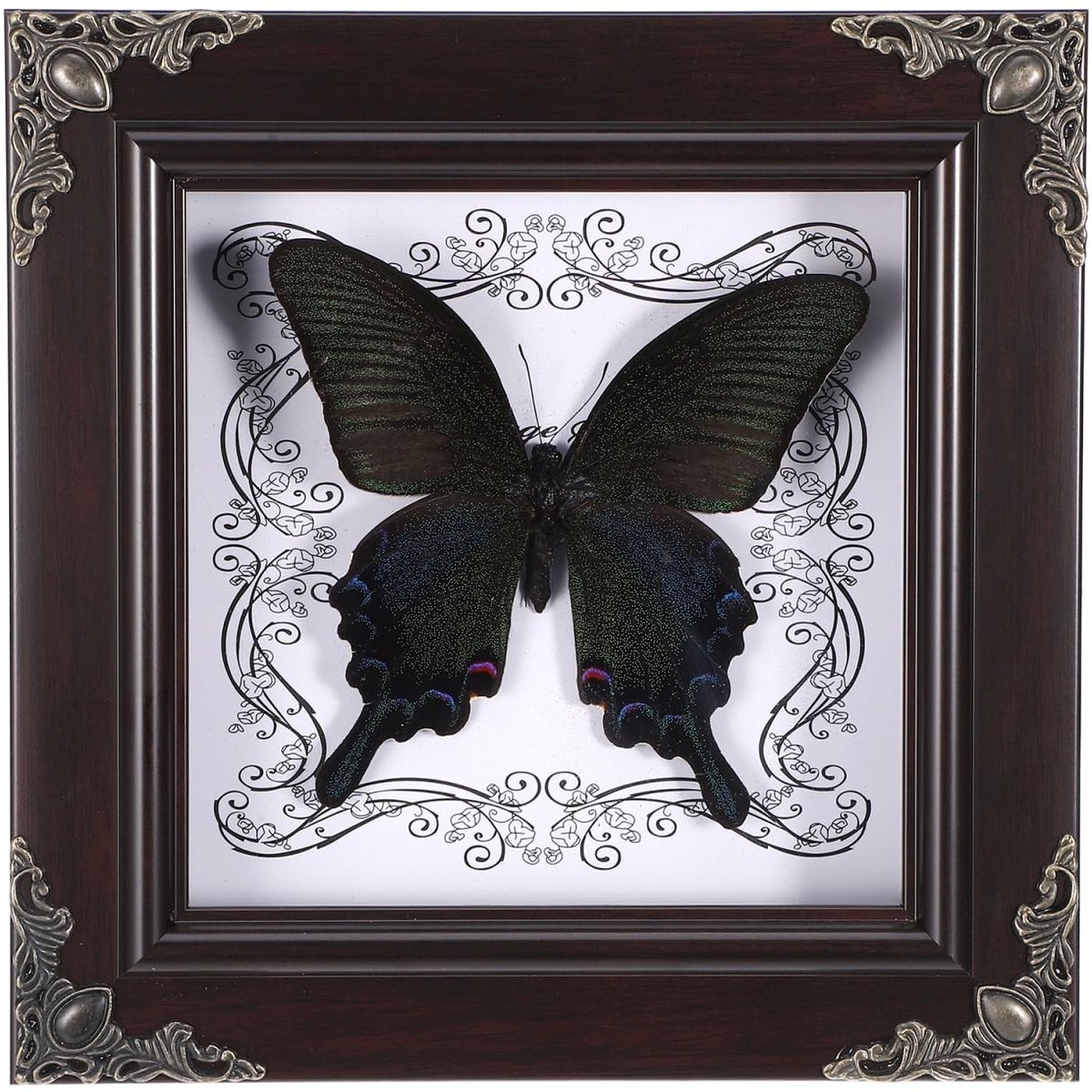 Omgoods - Vintage Vlinder Fotolijst voor Wand en Tafel Decoratie