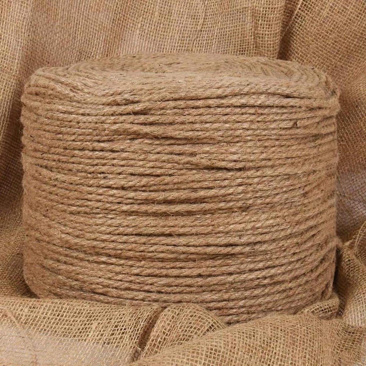Jute Touw - Natuurlijk Touw - Bloemschikken Tuinieren - Drievoudig Gevlochten - 6 mm 250 m - Geel