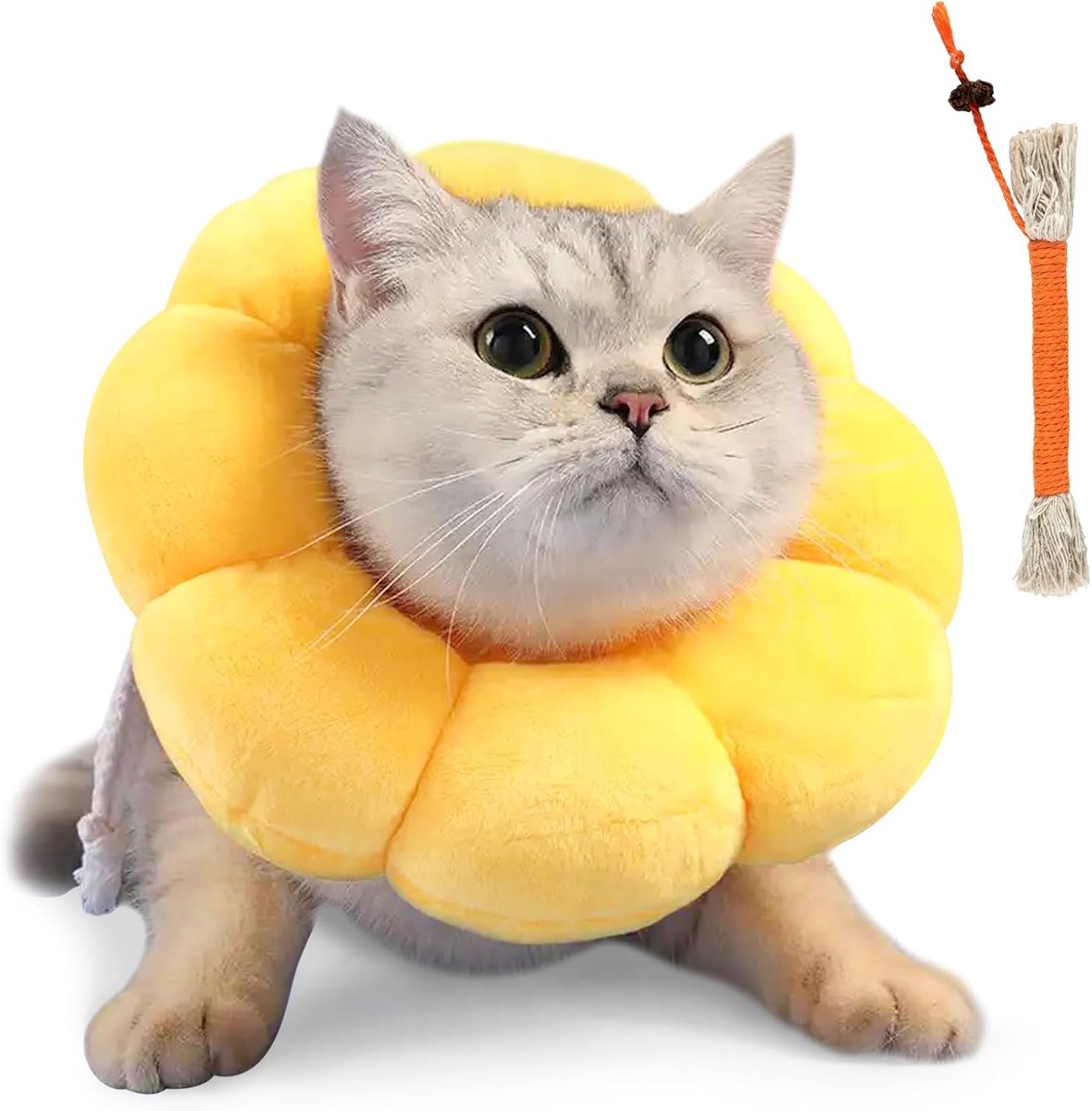 Cat Collar Set with Bite Rope, Elizabethan Cat Collar, Adjustable Cat Collar, Soft Funnel Collar for Cats with 12-20 - ShopVlot