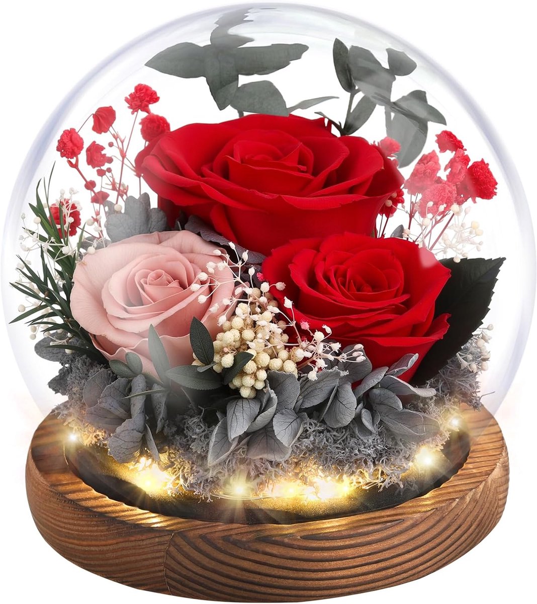 Bloemen voor levering - Behouden echte roos in glazen dome - Met LED-licht - Perfect als cadeau voor moeder - ShopVlot