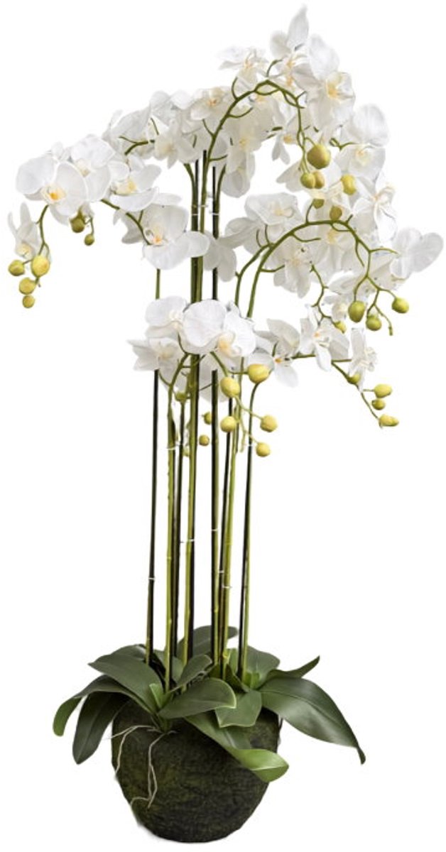 Orchidee wit in pot H 120 cm kunstplant Oosterik Home
