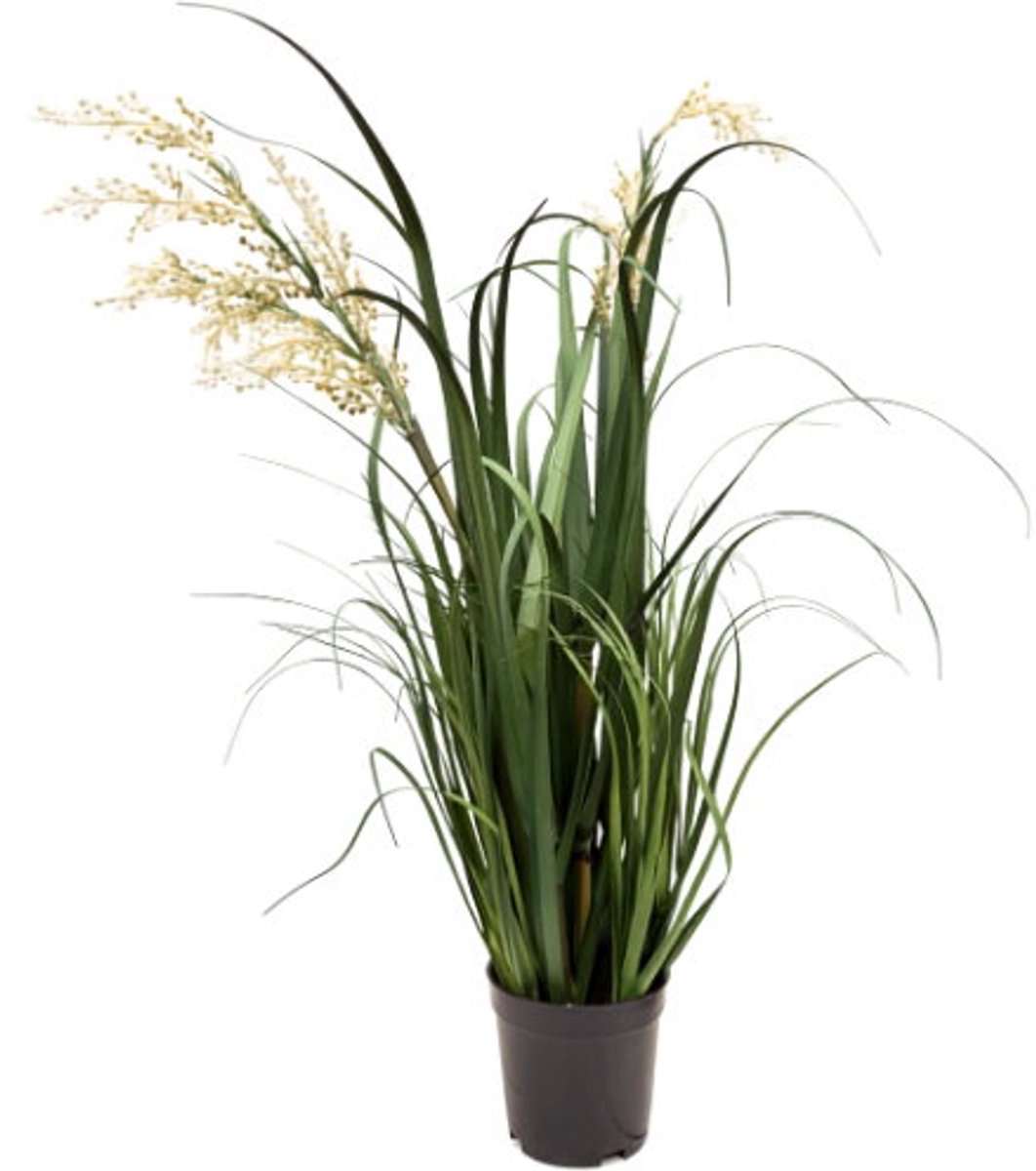 Rietgras creme H 74 cm kunstplant Oosterik Home