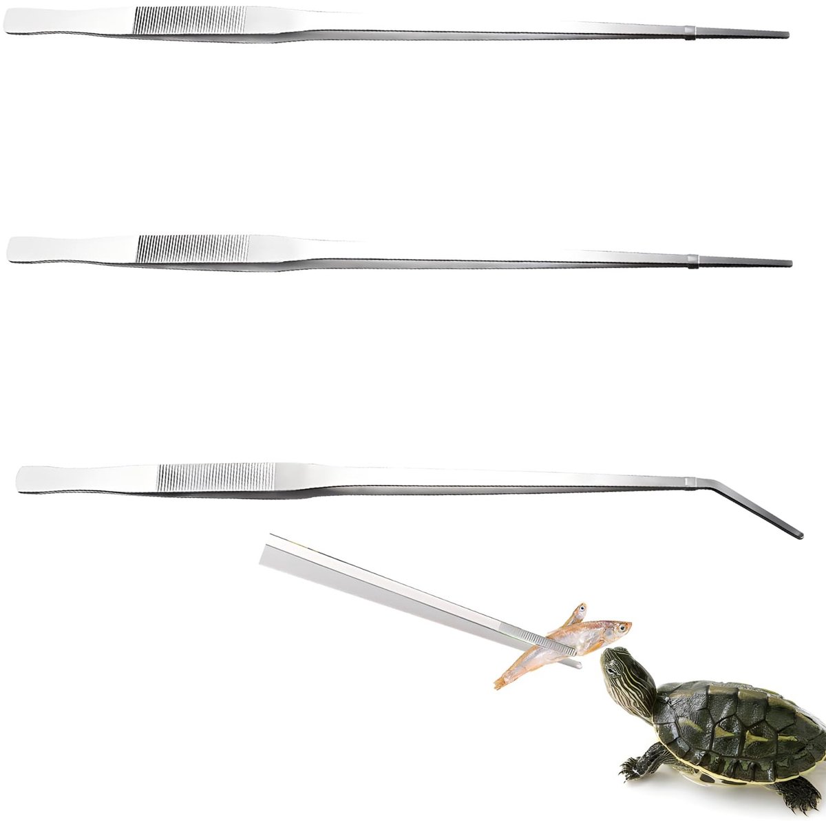 Dailygoods- Voedertangen Set van 3 - Roestvrij Stalen Pincet - Aquariumpincet/ Reptielentang - Gebogen/Rechtdoor - Onderhoud Planten/Aquariums - Duurzaam en Schokbestendig - Aquariumtools