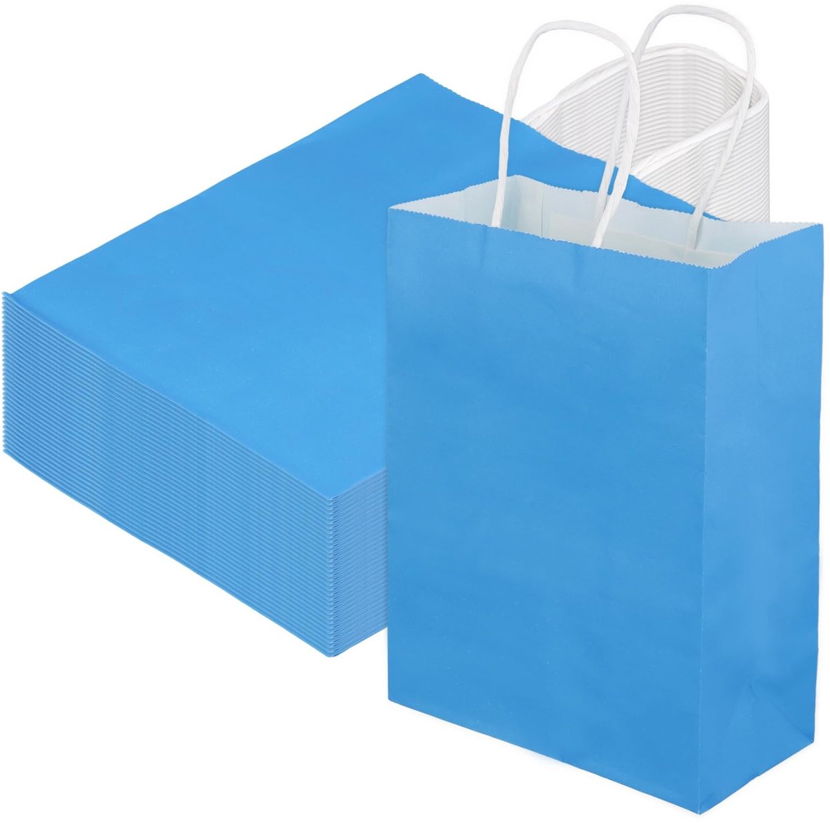 Dailygoods- Papieren Zakken 50 Stuks - Kraftpapieren Zakken met Handvat - Opvouwbaar - Versterkte Bodem - Cadeauzakjes voor Feest - Duurzaam