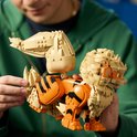 Een jongeman in een groene hoodie houdt een LEGO Arcanine figuur vast.
