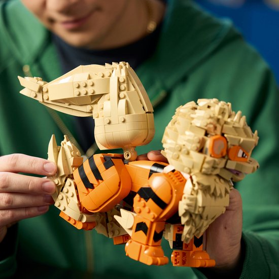 Een jongeman in een groene hoodie houdt een LEGO Arcanine figuur vast.