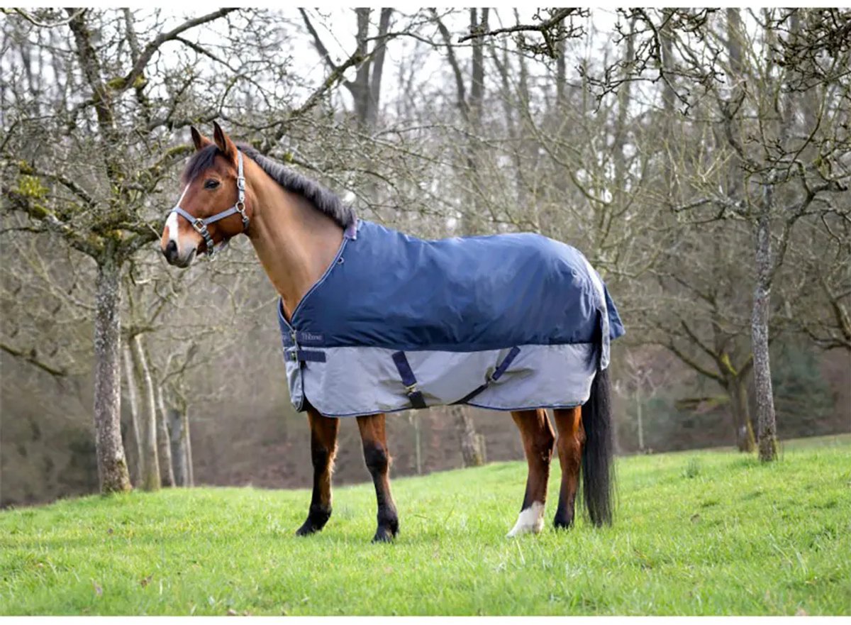 Equitheme Standard Tyrex 600 D Polyfil 50g Uitloopkleed Blauw 183-135 cm
