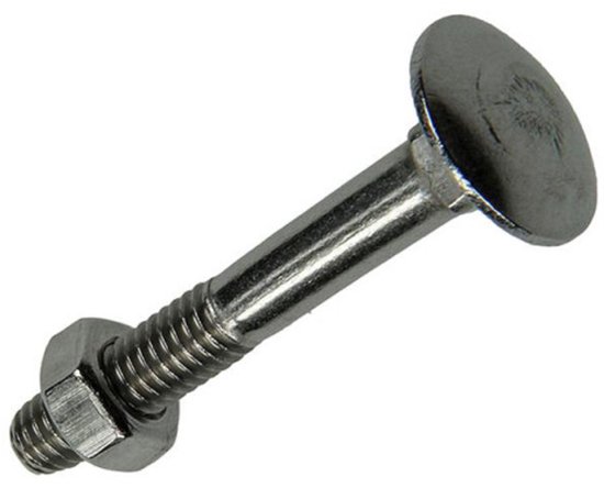 RVS slotbout met moer, 40mm lang.