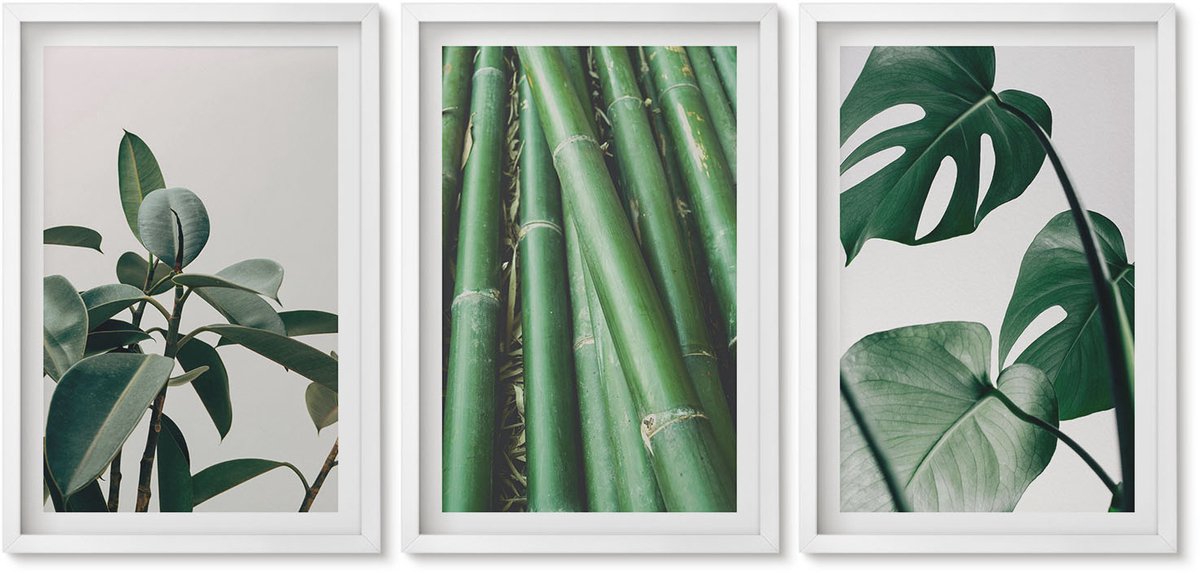 Wallfluent 3-Delige Schilderij Set - Bamboe Stengels, Kamerplanten En Monstera Bladeren - 40 x 60 - Muurdecoratie - Wanddecoratie - Slaapkamer - Decoratieve Schilderijen