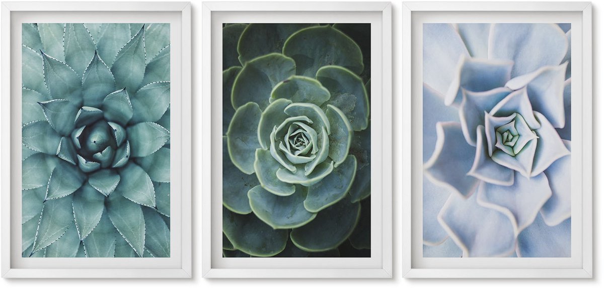 Wallfluent 3-Delige Schilderij Set - Vetplanten In Groene En Turquoise Tinten. - 40 x 60 - Muurdecoratie - Decoratieve Schilderijen - Wohnzimmer - Woonkamer Decoratie