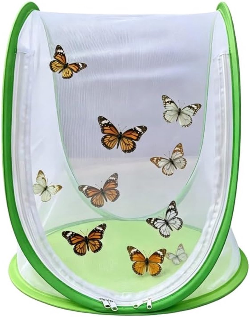 Opvouwbare insectenkweekkooi, vlindertent met net en ritssluiting, transparante observatiekooi voor vlinders - ShopVlot