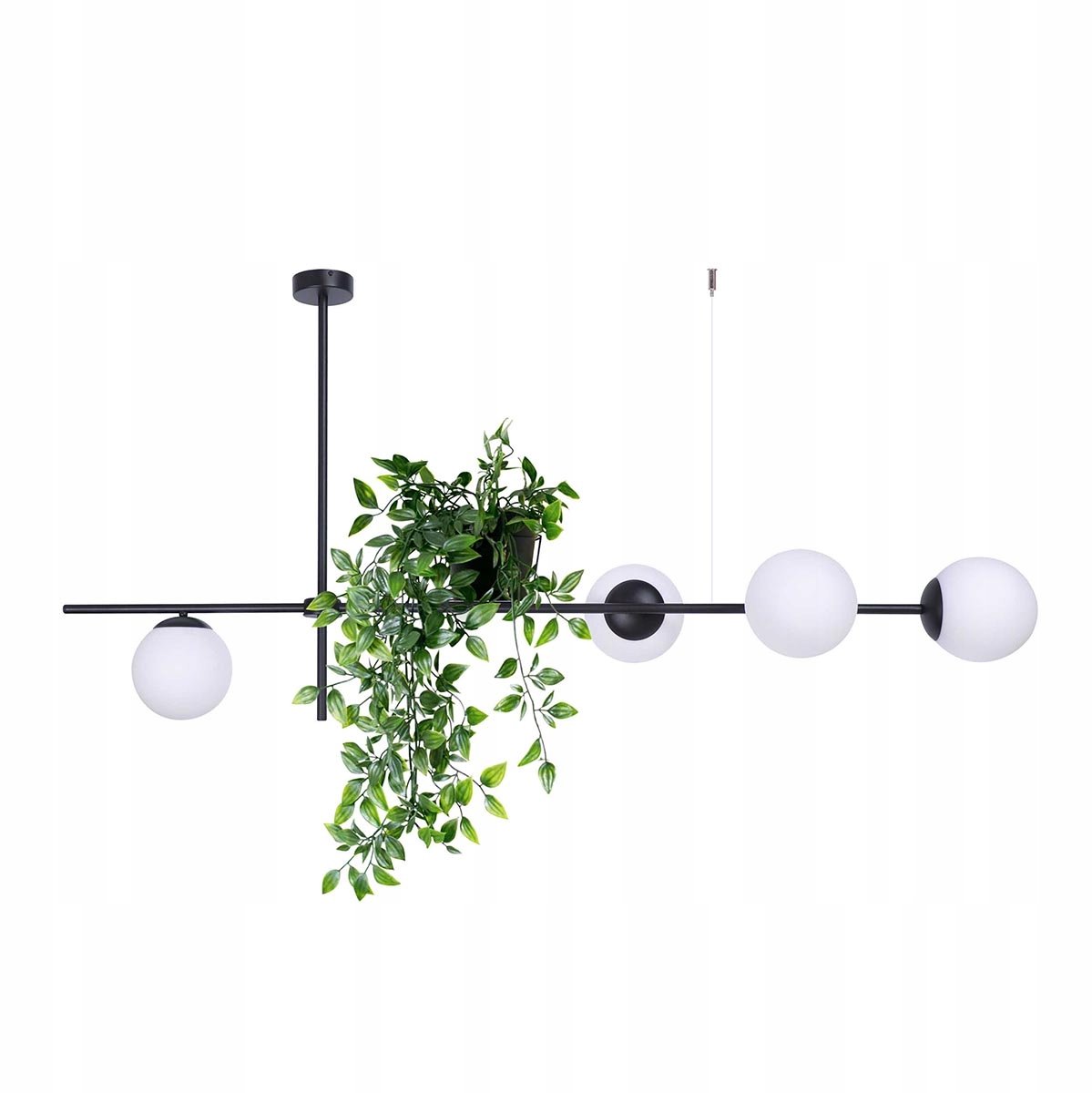 Zwarte Plafondlamp met Plantenbak en Glazen Kap