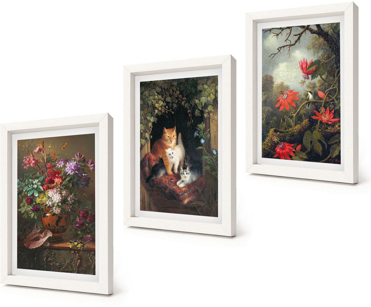 Coloray 3-Delige Schilderij Set - Vintage bloemen, katten en planten in de natuur - 20x30 - Muurdecoratie - Decoratieve Schilderijen - Wohnzimmer - Interieur Decoratie
