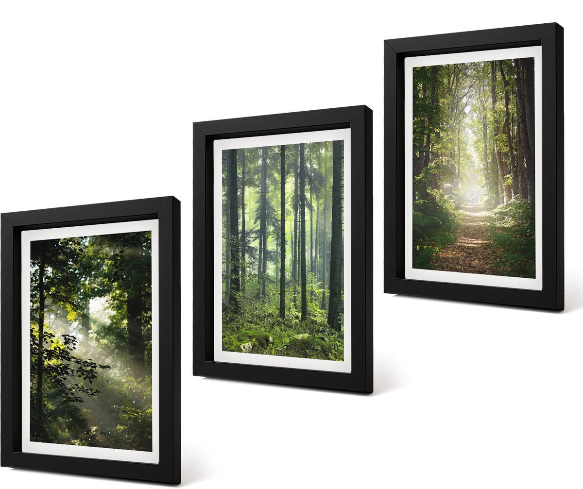 Coloray 4-Delige Schilderij Set - Groene bossen met zonnestralen en een bospad - 20 x 30 cm - Muurdecoratie - Interieur Decoratie