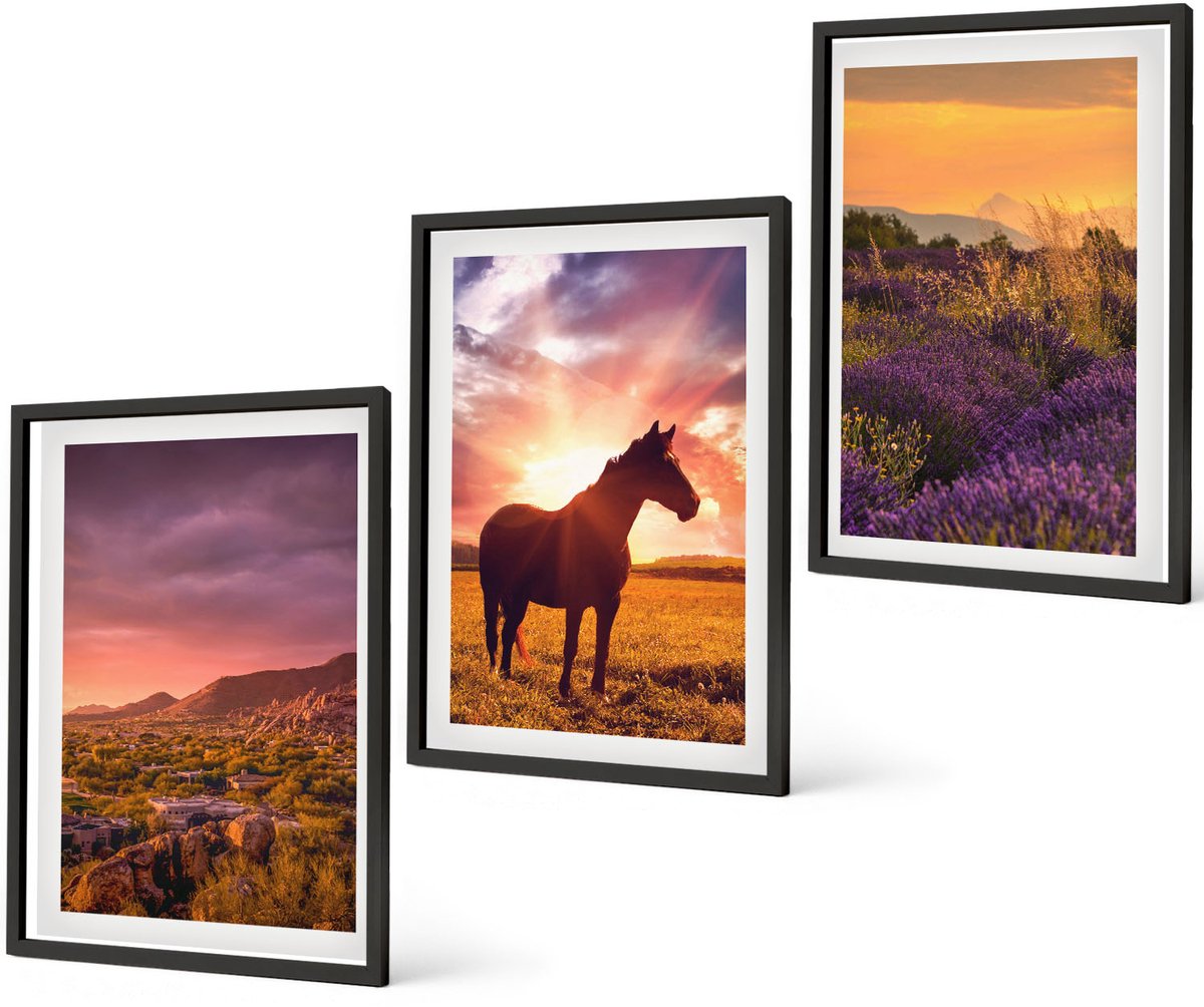 Coloray 3-Delige Schilderij Set - Berglandschappen Met Paarden En Lavendelvelden - 40 x 60 cm - Muurdecoratie - Interieur Decoratie