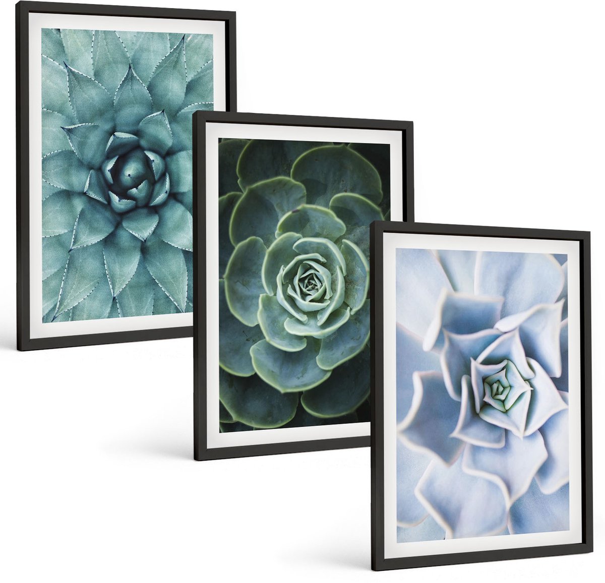 Tulup 4-Delige Schilderij Set - Vetplanten in groene en turquoise tinten. - 40 x 60 cm - Muurdecoratie - Decoratieve Schilderijen - Wohnzimmer - Wanddecoratie