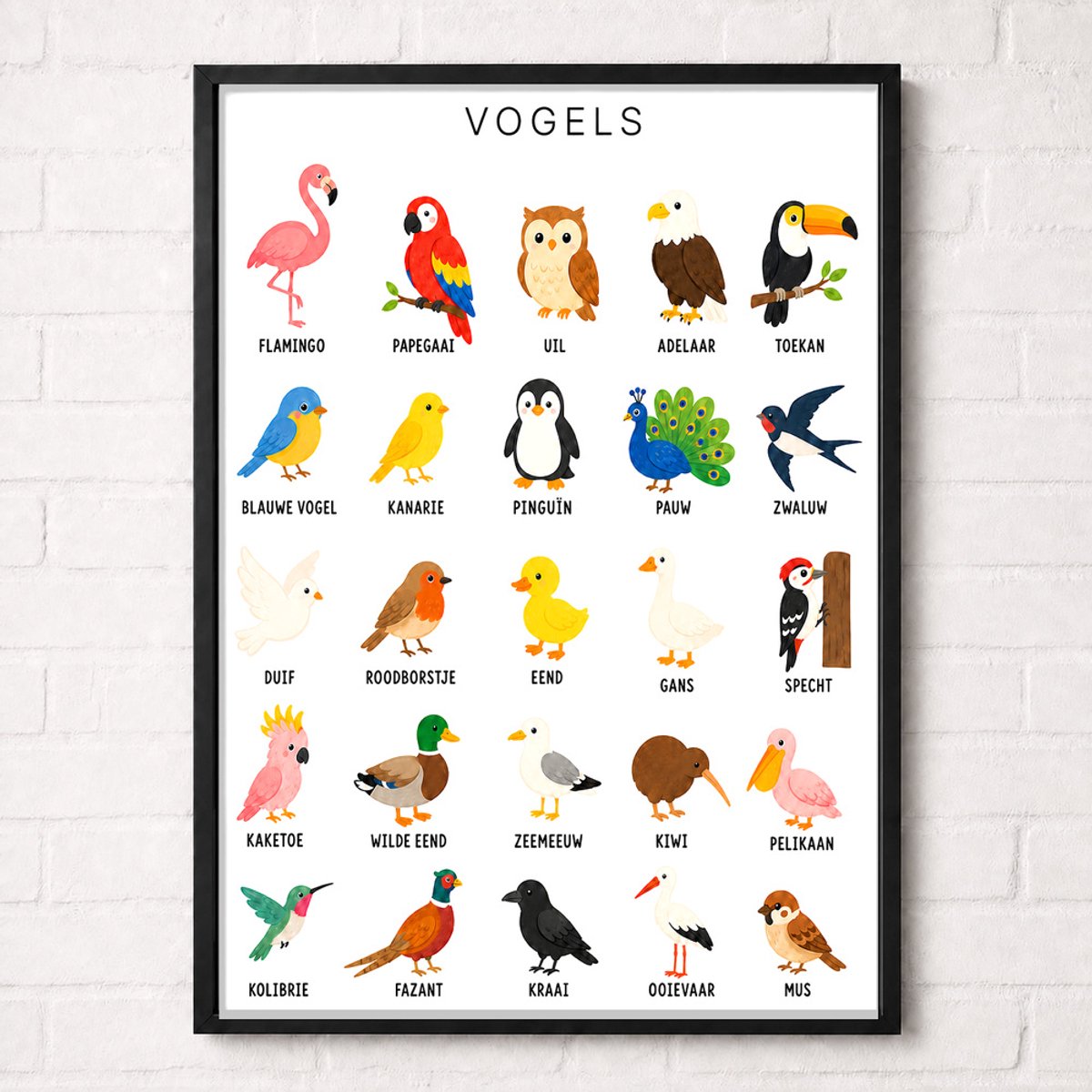 Vogels Educatieve Poster voor Kinderen - Leren - groep 1 t/m 5 (4-9 jaar) - A2+ 43,2 x 61 cm