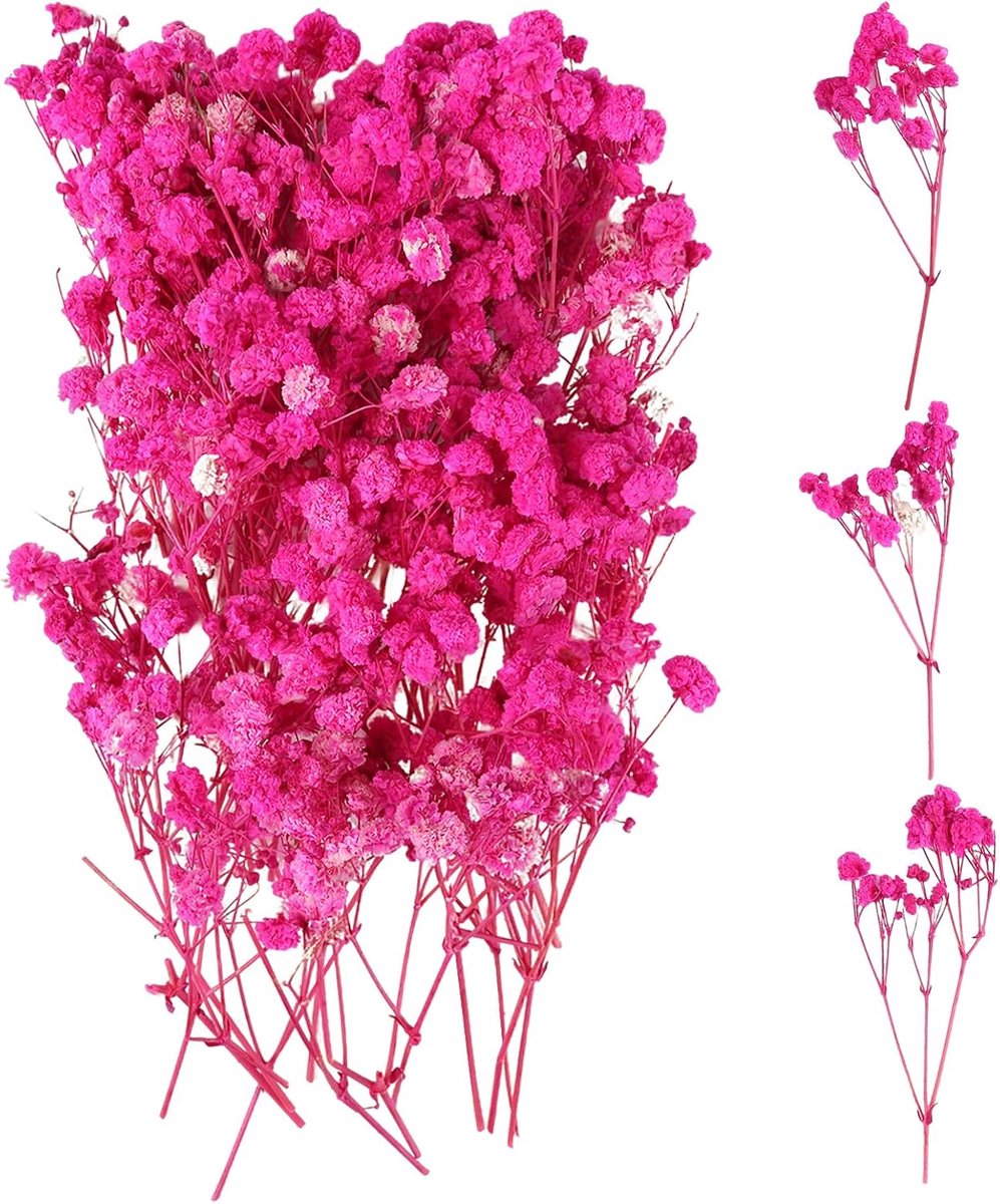 100 stuks gedroogde nevel gedroogde bloemen Gypsophila, mist Gypsophila bloemen, natuurlijke gedroogde bloemen voor - ShopVlot