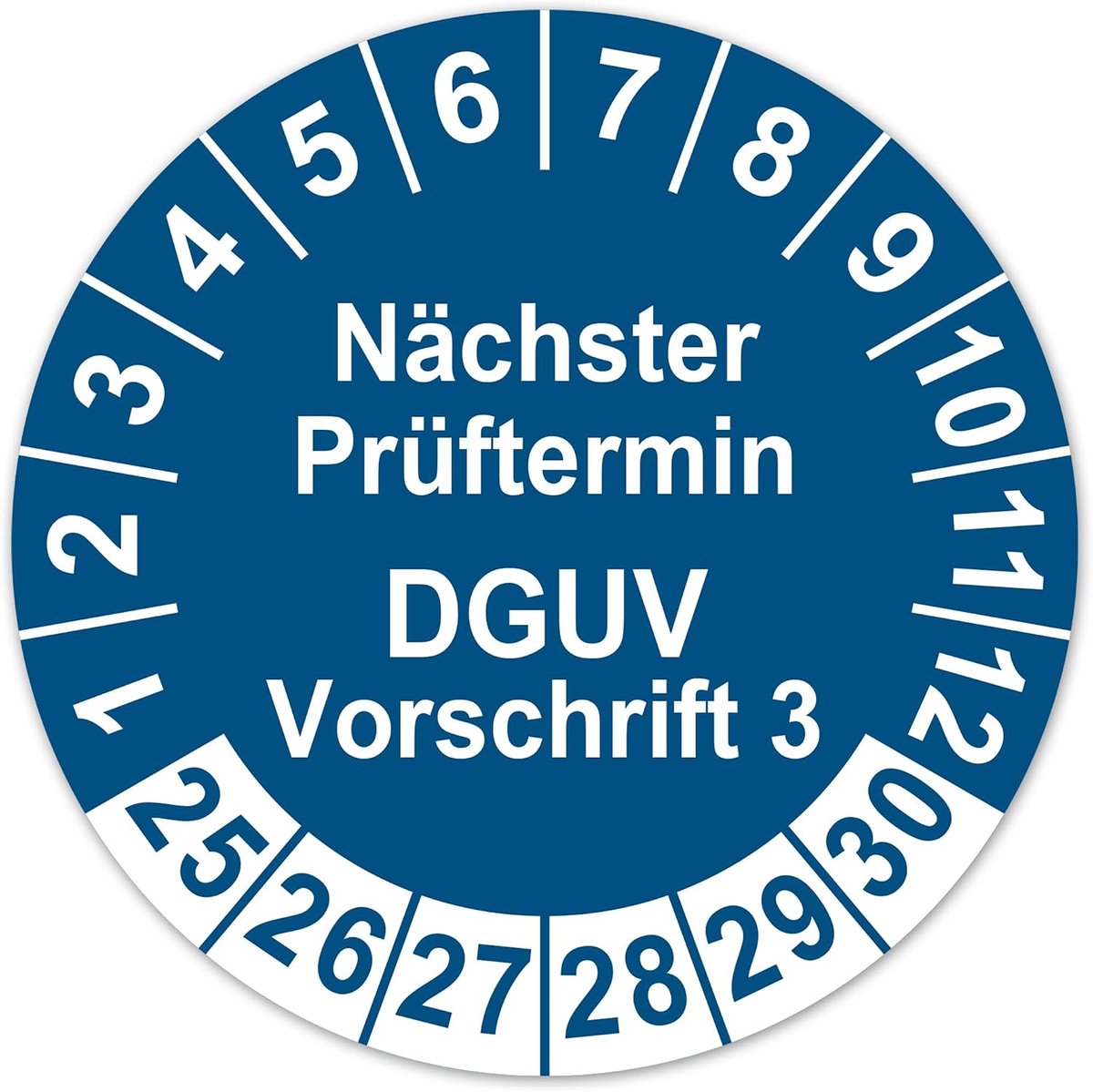 DGUV voorschrift 3 teststickers 2025-2030 teststickers vinyl stickers folie zelfklevend waterdicht LTA019 (50, blauw - ShopVlot