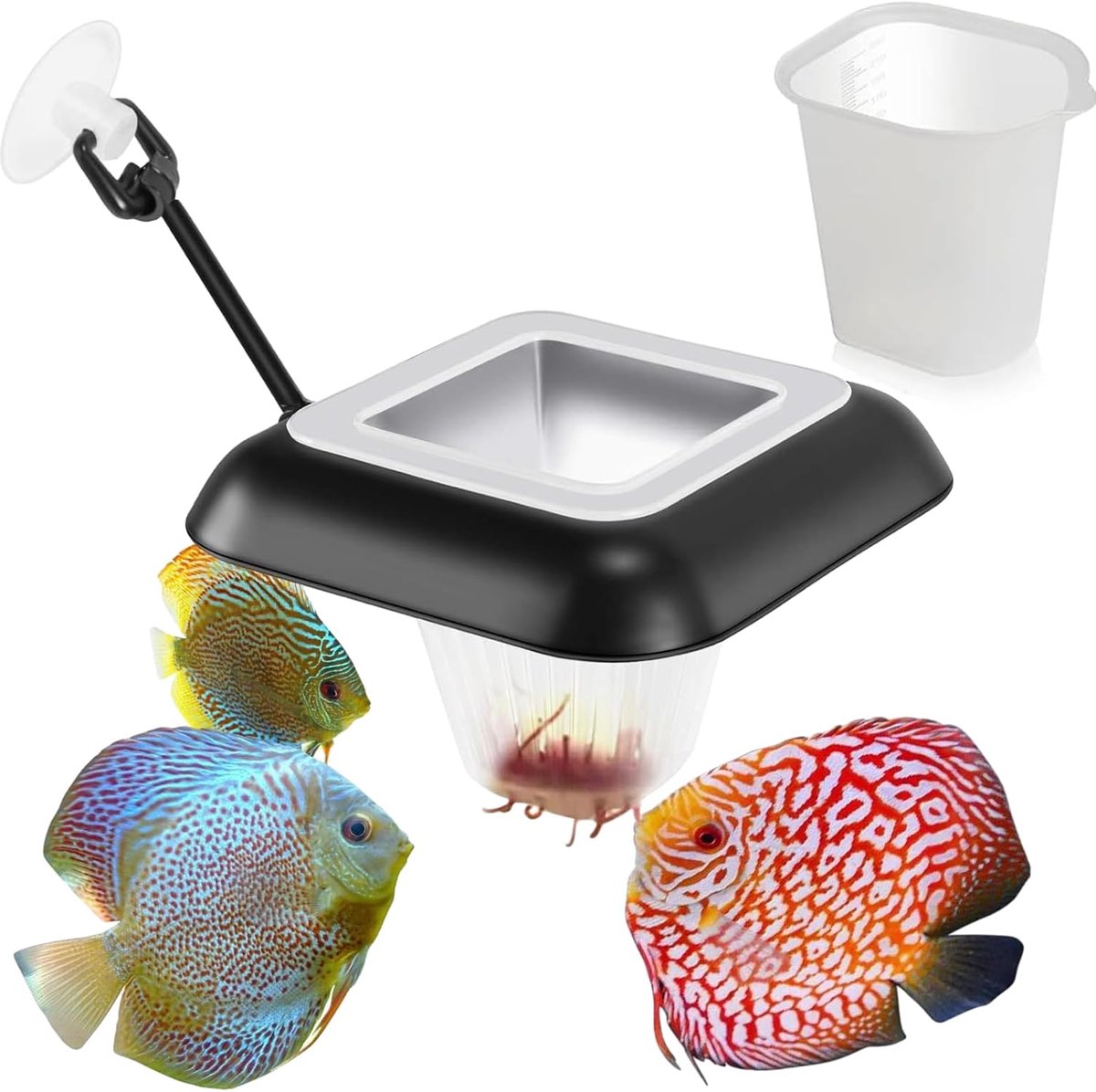 Square Worm Feeder 3-in-1 Feeding Ring Aquarium Black Aquarium Feeder Ring Aquarium Accessories Bloodworm Feeder Fish - ShopVlot