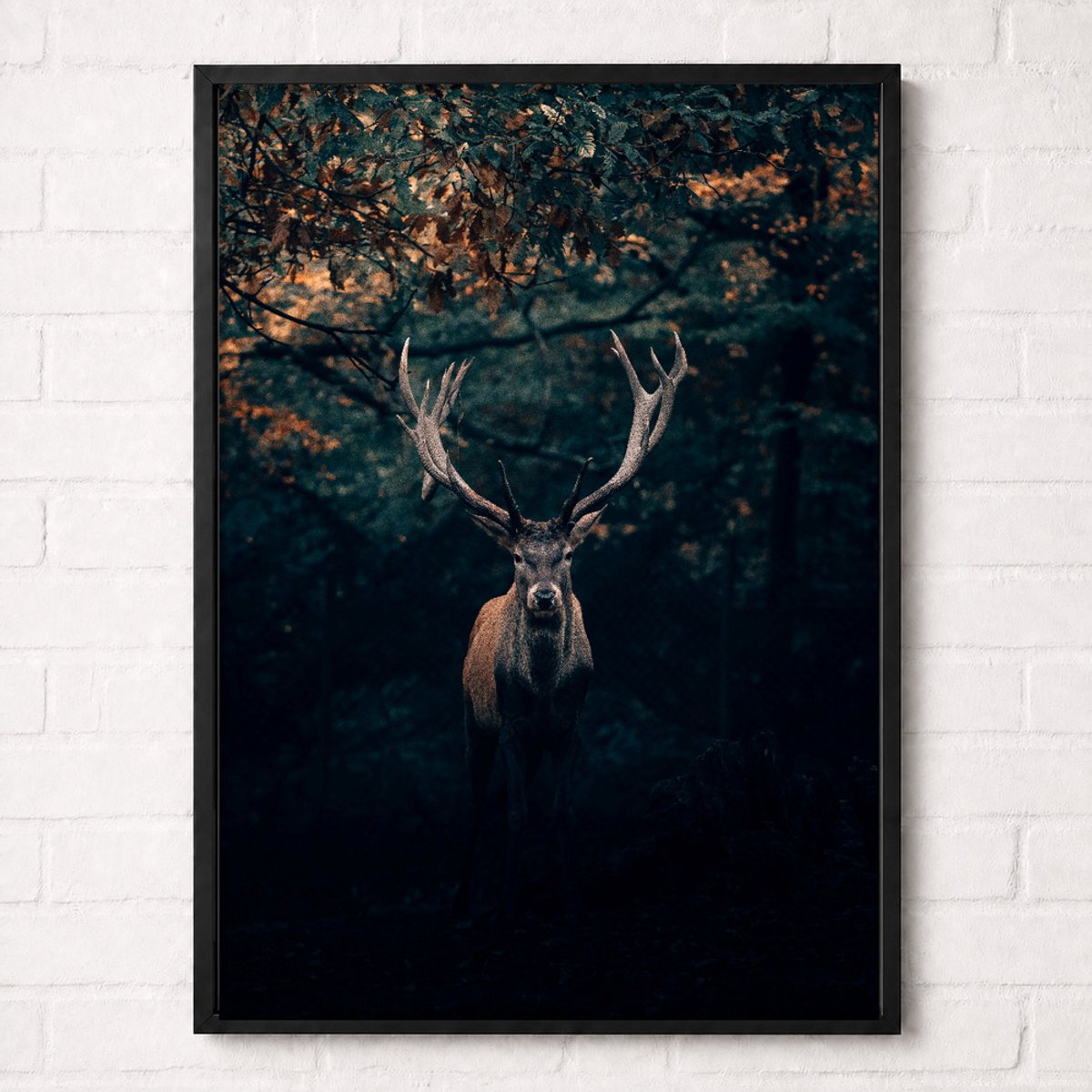 Hert in het Donkere Bos Poster - Wildlife Nature Collection - Natuur Posters - A2+ 43,2 x 61 cm