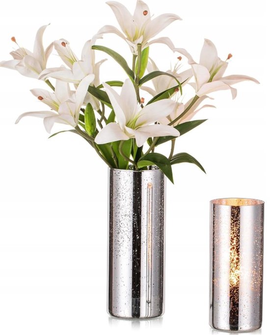 Set van 2 Zilveren Glazen Vazen - Elegante Decoratie