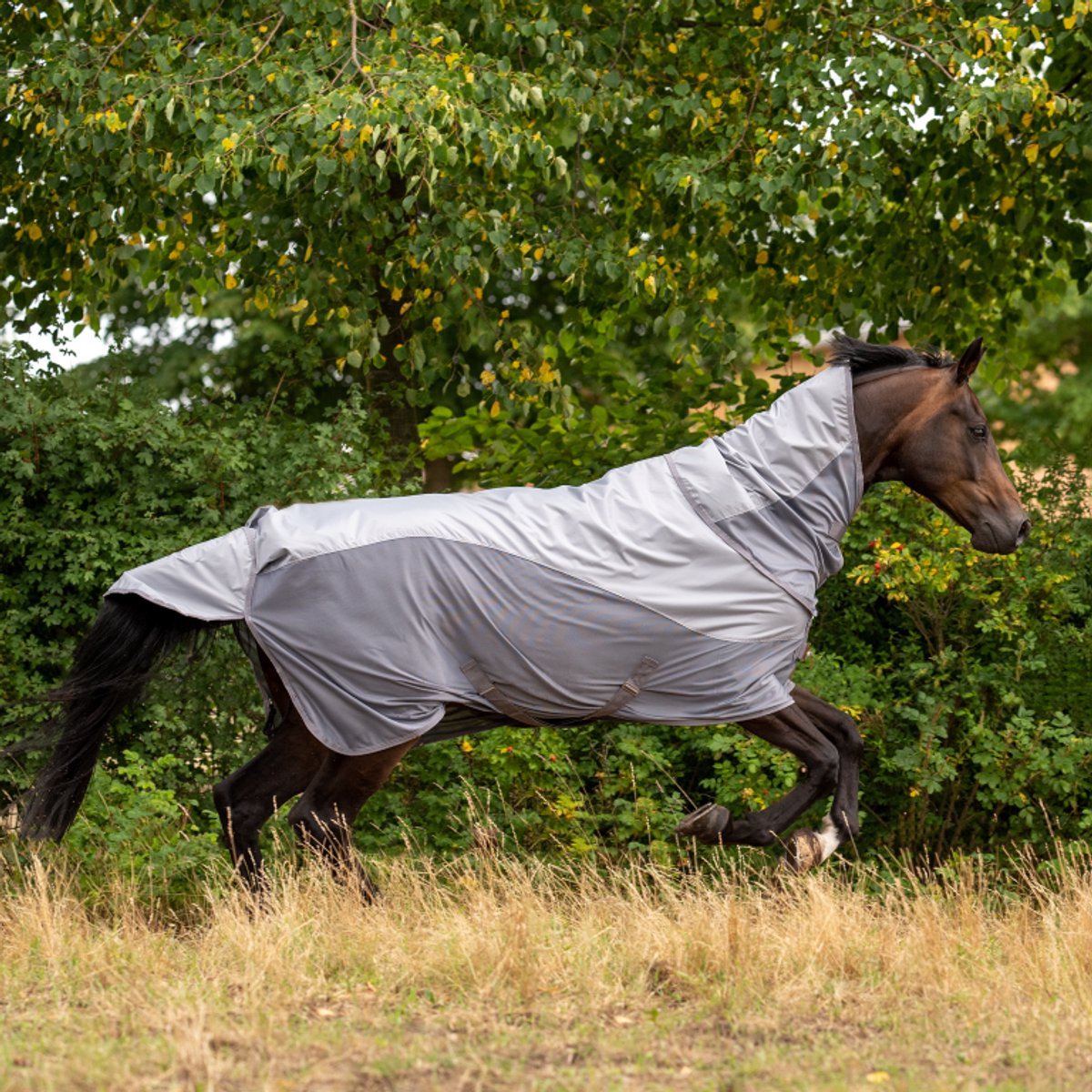 Busse Paddockdeken Rainfly 135-185 - Grey