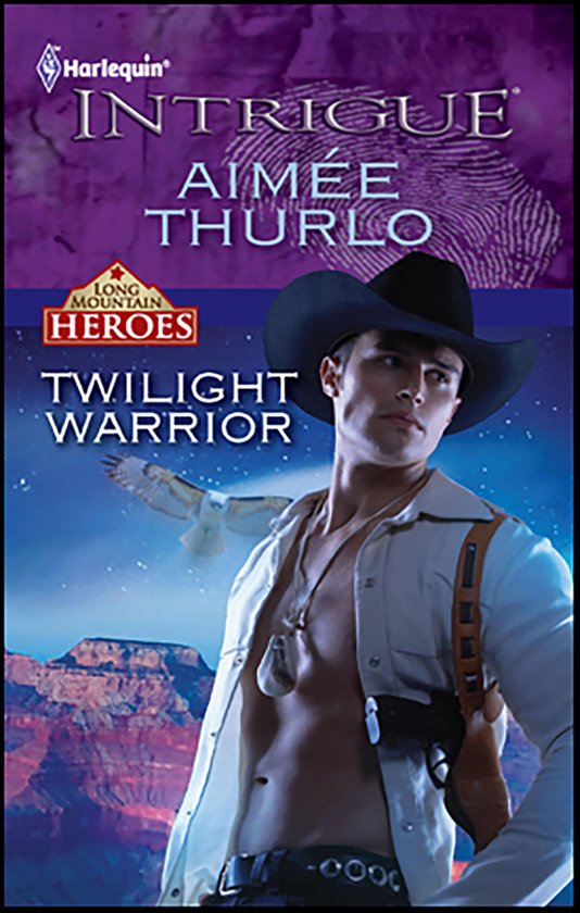 Long Mountain Heroes 2 - Twilight Warrior - cover