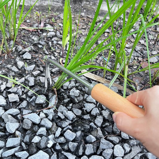 Onkruidstekers Roestvrij Staal - Wortelwieder Tuin - Tuinieren Onkruid Wieden - Ergonomisch Houten Handvat - 2 Stuks - Zilver van Merkloos	 — afbeelding 5