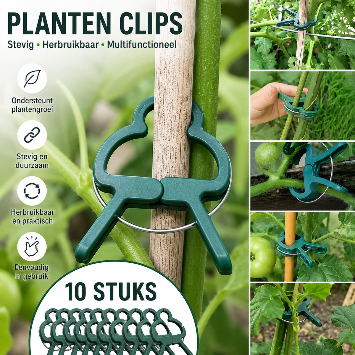 FSW-Products Plantenclips 10 Stuks – Herbruikbare Plantclips voor Klimplanten, Tomaten, Komkommers en Paprika – Stevige Tuinclips voor Plantenondersteuning