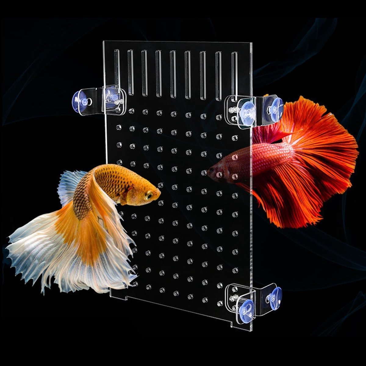 Solidchoice - Aquarium Scheidingswand voor Vis Tank met Zuignap