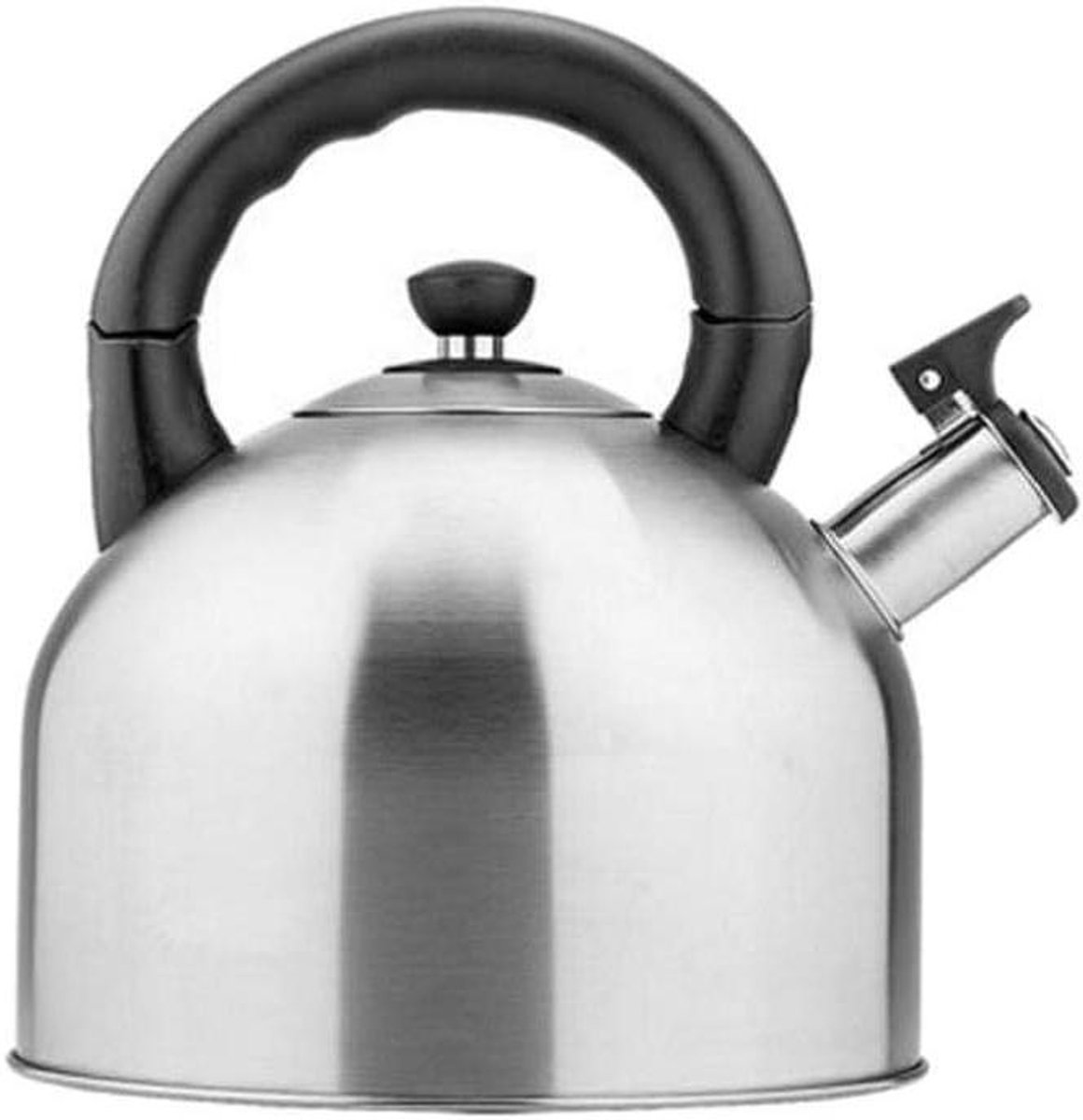 Waterkoker met Fluitje - Theepot Roestvrij Staal - Water Koken - Grote Inhoud - 4.4L - Zilver