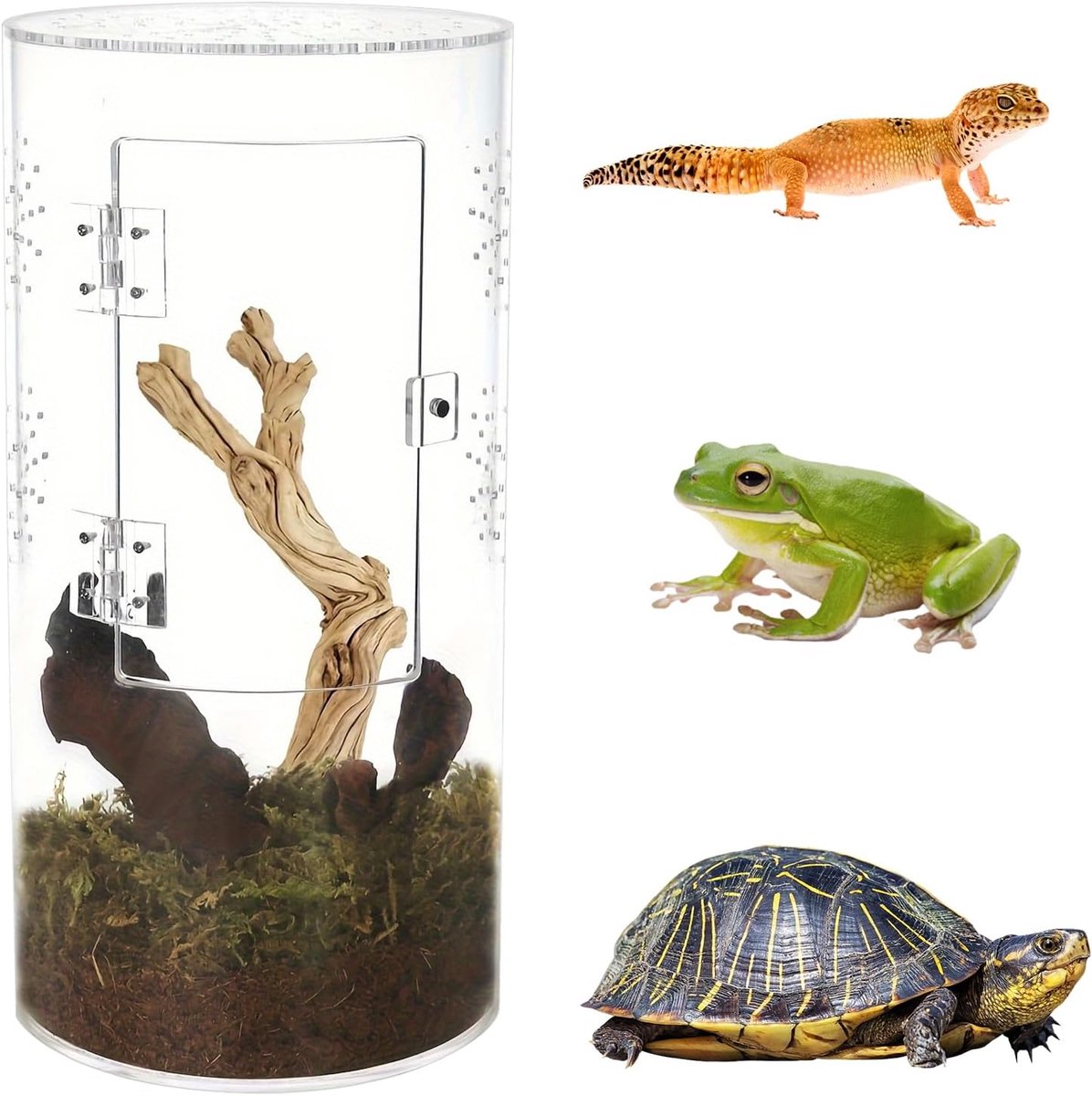 Terraria voor reptielen, mini-terrarium, complete set, waterdicht, acryl, vivarium, cilindrisch, faunabox met voordeur voor kleine reptielen, kikker, springspinnen, bidan, gekkoslakken