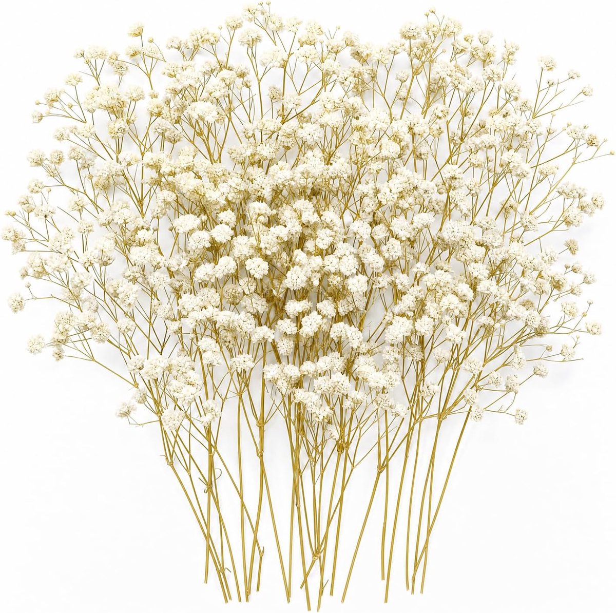 Gedroogde bloemen 50 stuks - natuurlijke gypsophila - voor creatief knutselen - ideaal voor kaarten en decoratie - SnelShoppen