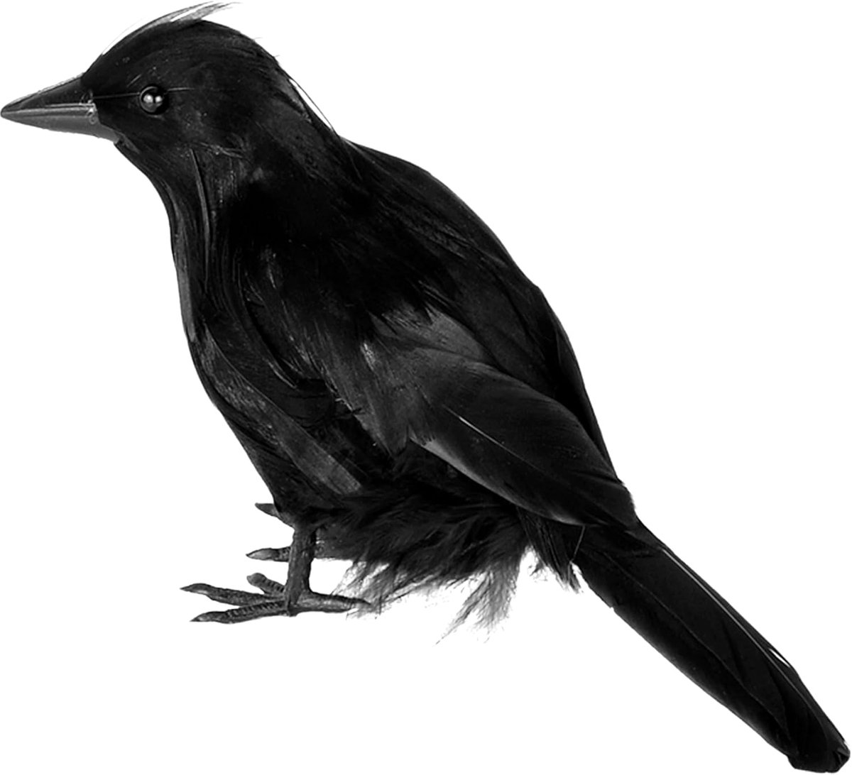 Halloween kraai raaf 7 inch veer vogel, zwarte rekwisiet nepvogels kraaien Halloween decoraties voor spookhuis kerkhof, begraafplaats tuin tafel feestgeschenken