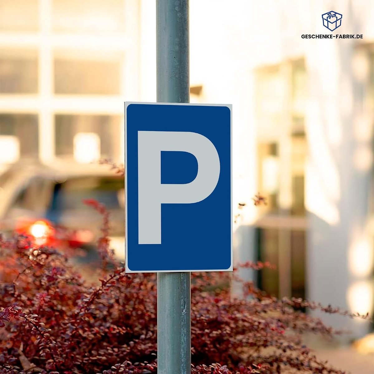 Parkeerbord 200x300 mm - PVC rigid foam plaat - weerbestendig - ideaal voor buitengebruik - ShopVlot